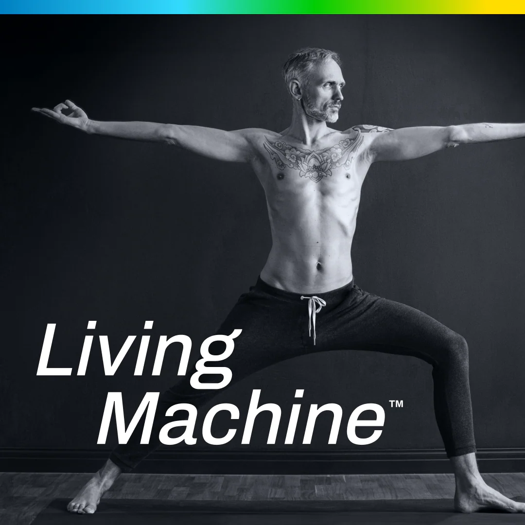 NMN Pro 250™ Sustained Release - Uthever® NMN, 250 mg, 60 tabs - Living Machine™ - Image 4